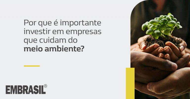 Por que é importante investir em empresas que cuidam do meio ambiente ...